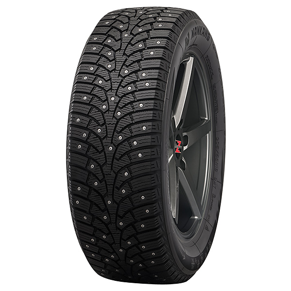 215/50R17 95T NANKANG ICE ACTIVA GRIP SW-9